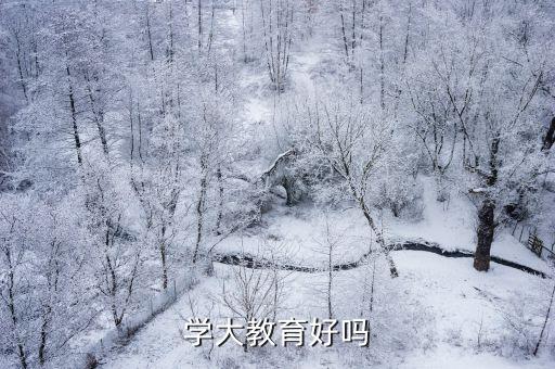 学大教育好吗
