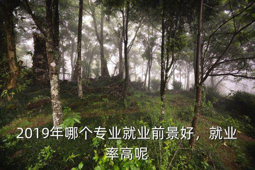 2019年哪个专业就业前景好，就业率高呢