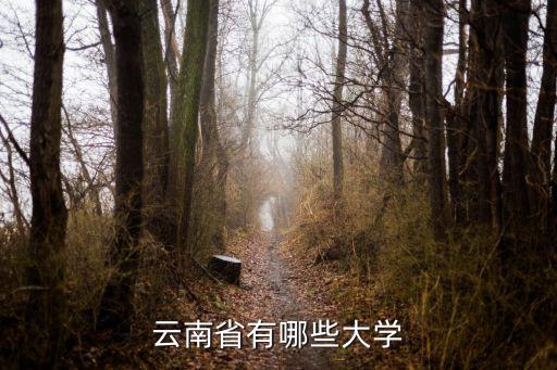 云南省有哪些大学