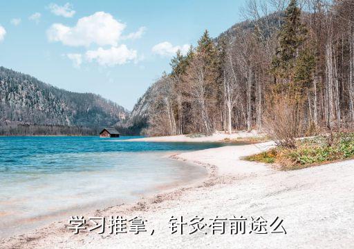 学习推拿，针灸有前途么