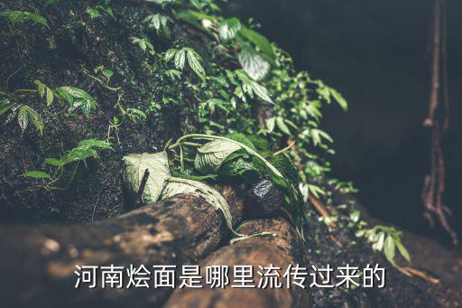 河南烩面是哪里流传过来的