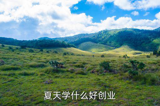 夏天学什么好创业