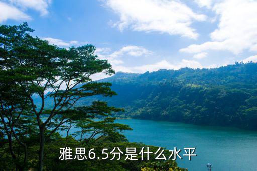 雅思英语会测试什么,雅思6.5分是什么水平