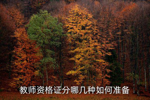 高等学校教师资格证 英文怎么说,高校教师资格证如何取得