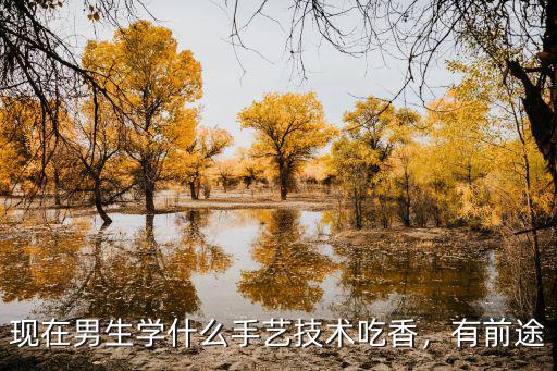 现在男生学什么手艺技术吃香，有前途