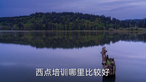 西点培训哪里比较好