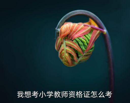 邹城 教师资格证怎么考,普通人怎么考教师资格证