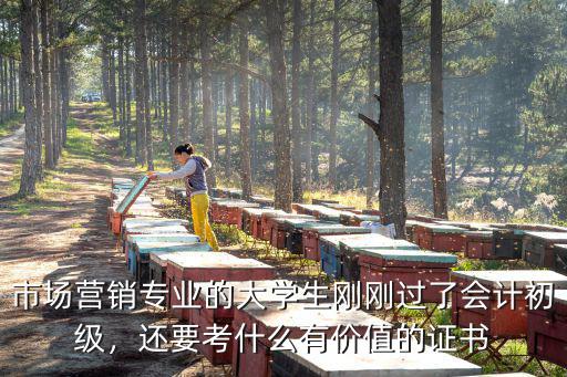市场营销专业的大学生刚刚过了会计初级，还要考什么有价值的证书