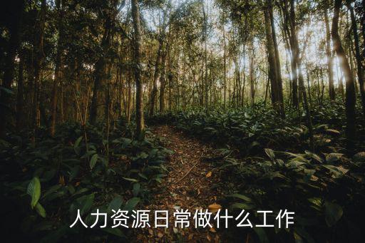 人力资源日常做什么工作