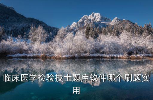 临床医学笔记软件有什么,有没有快速刷题的软件