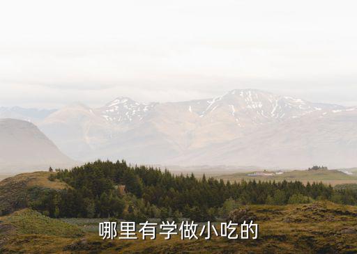 学做小吃哪里可以培训,哪里有学做小吃的