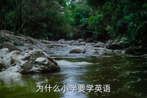 小学英语都教些什么,小学英语到底怎么教