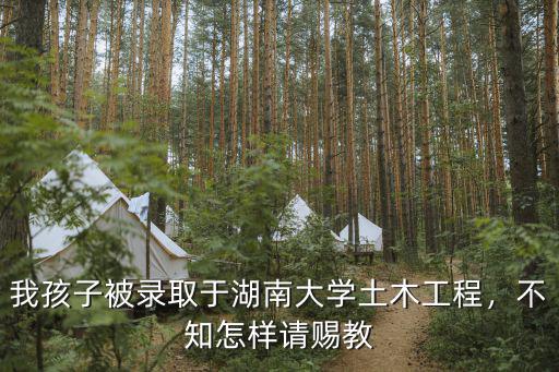 我孩子被录取于湖南大学土木工程，不知怎样请赐教