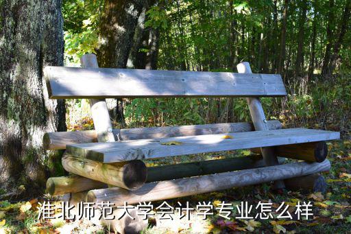 淮北师范大学会计学专业怎么样