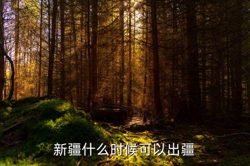 新疆都是查什么时候开始,新疆什么时候可以出疆