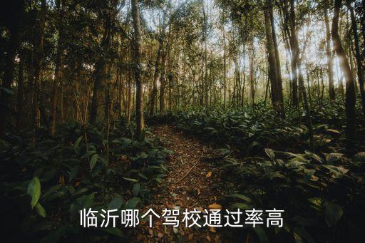 临沂哪个驾校通过率高
