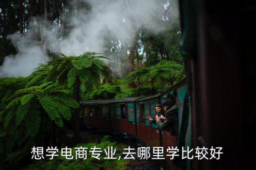 想学电商专业,去哪里学比较好
