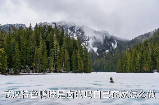 哈哈镜鸭脖是怎么做的,卤鸭脖怎么做