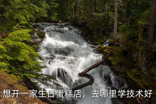想开一家生日蛋糕店，去哪里学技术好