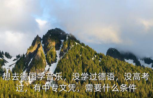德语先学什么条件,需要什么条件