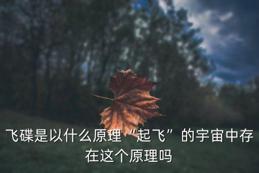 烫发飞碟是什么原理,飞碟是以什么原理起飞的