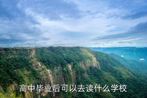 高中毕业后可以去读什么学校