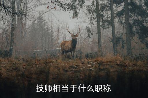 技师相当于什么职称
