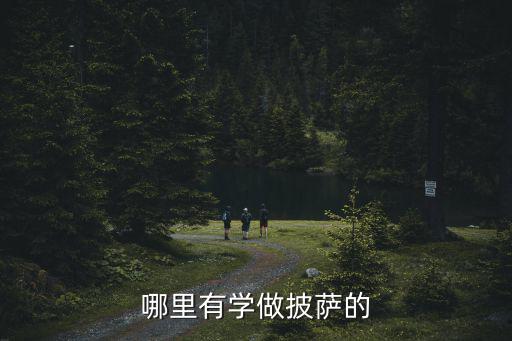哪里有学做披萨的