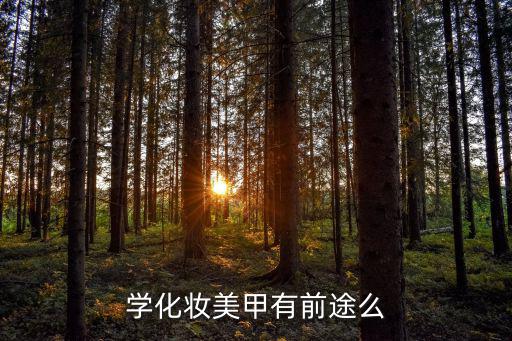 学化妆美甲行业怎么样,学化妆美甲有前途么