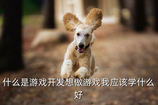 什么是游戏开发想做游戏我应该学什么好