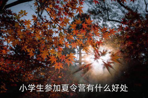 小学生参加夏令营有什么好处