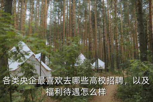 各类央企最喜欢去哪些高校招聘，以及福利待遇怎么样