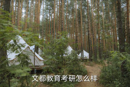 文都教育考研怎么样