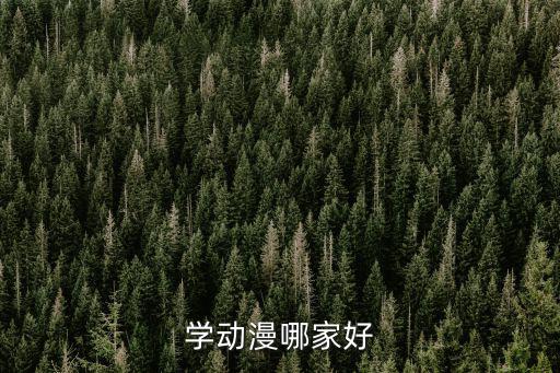 学动漫哪里好,学动漫设计去哪里好