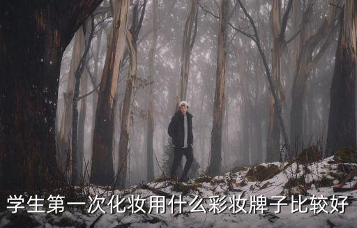 学生第一次化妆用什么彩妆牌子比较好