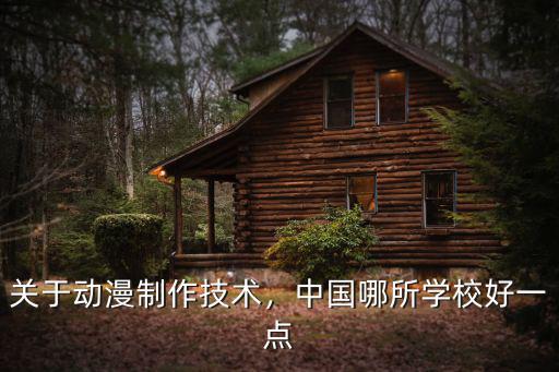 关于动漫制作技术，中国哪所学校好一点