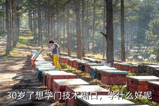 30岁了想学门技术糊口，学什么好呢