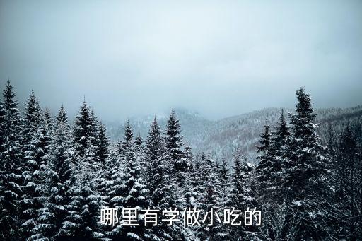 哪里有学做小吃的