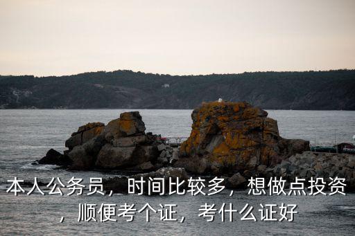 本人公务员，时间比较多，想做点投资，顺便考个证，考什么证好