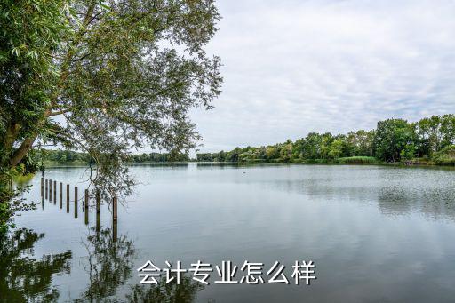 会计专业怎么样
