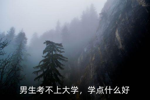 男生考不上大学，学点什么好