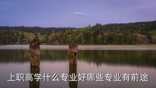 上职高学什么专业好哪些专业有前途