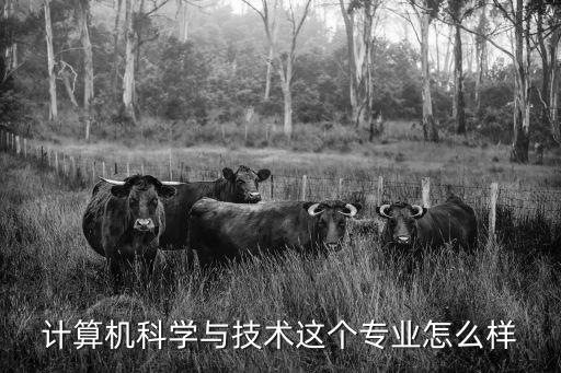 计算机科学与技术这个专业怎么样