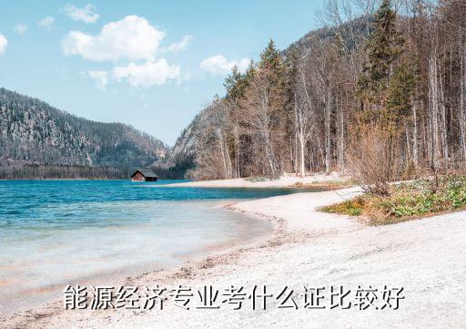 能源经济专业考什么证比较好