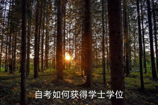 自考本科学位是什么,自考本科没学位证怎么办