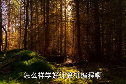 怎么样学好计算机编程啊