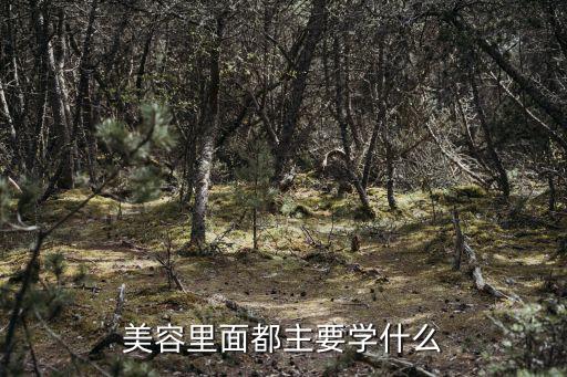 学美容都是学什么东西,韩国美容专业都学些什么