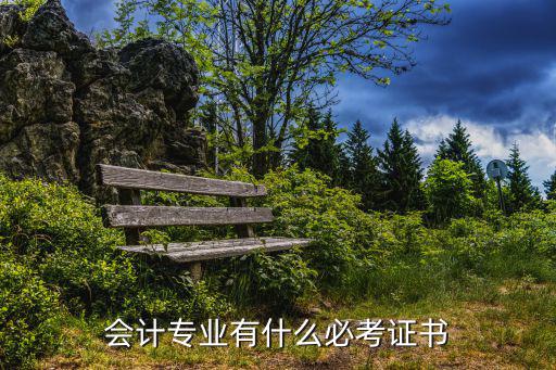 学会计考什么证书有用,会计专业有什么必考证书