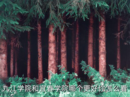 九江学院和宜春学院哪个更好你怎么看