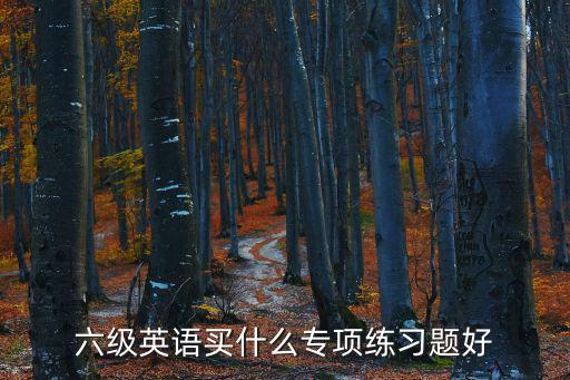 六级英语买什么专项练习题好
